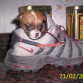 PINKY 5  MESES